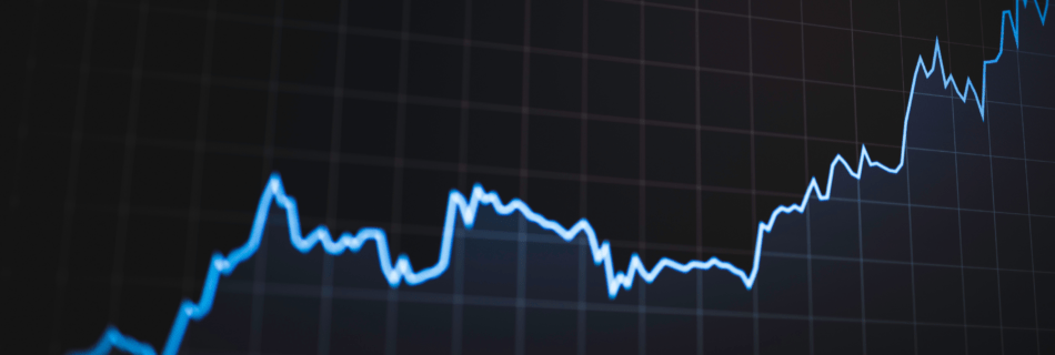 Managed BI for fractional CFOs: one reporting foundation across every client